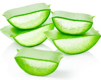 蘆薈在化妝品方面的應(yīng)用。